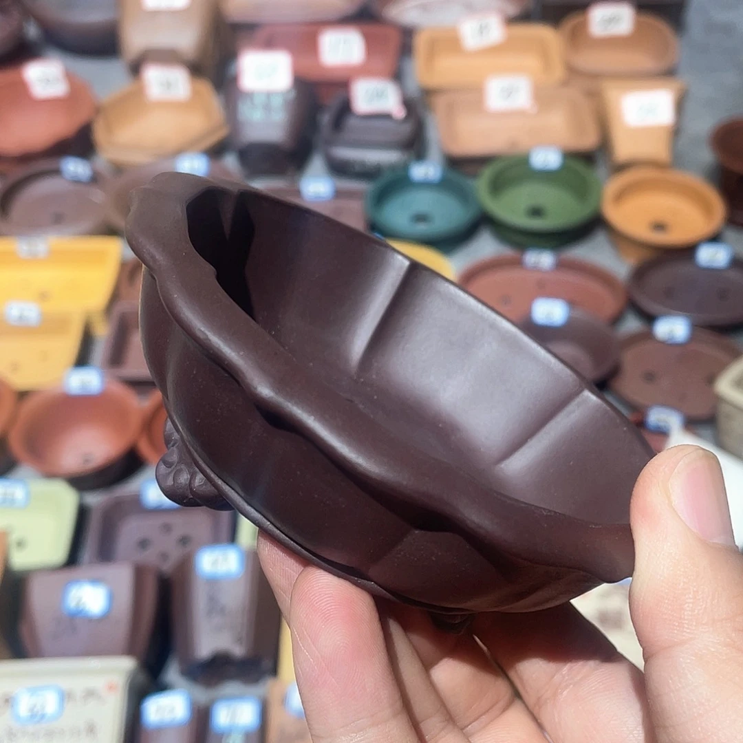 紫砂小盆9.5*2.5cmmmmm