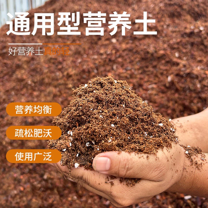 自配花小姐枫树专用营养土养护盆栽红枫营养土