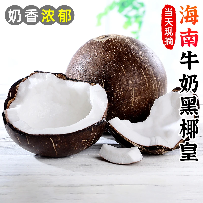 【椰香浓郁】海南牛奶黑椰皇2-9个毛椰椰青椰宝老椰子肉椰汁水果