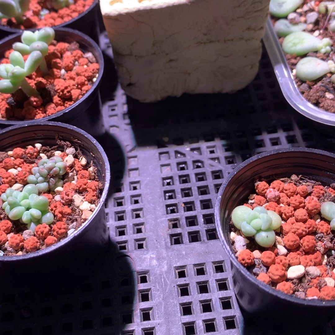 灬***灬欠他一个货别忘发了。