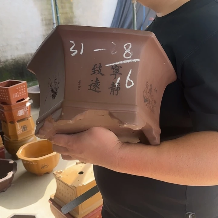 花盆紫砂这是什么