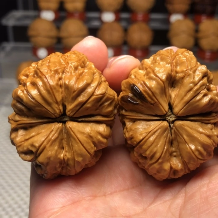 文玩核桃把件5霸王蟾疙瘩包