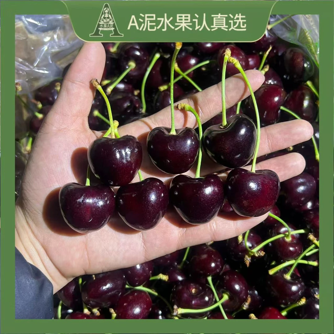 阿根廷空运黑车瑞吉娜2-3JD 车厘子1.8-5斤【顺丰包邮】 内附果径卡