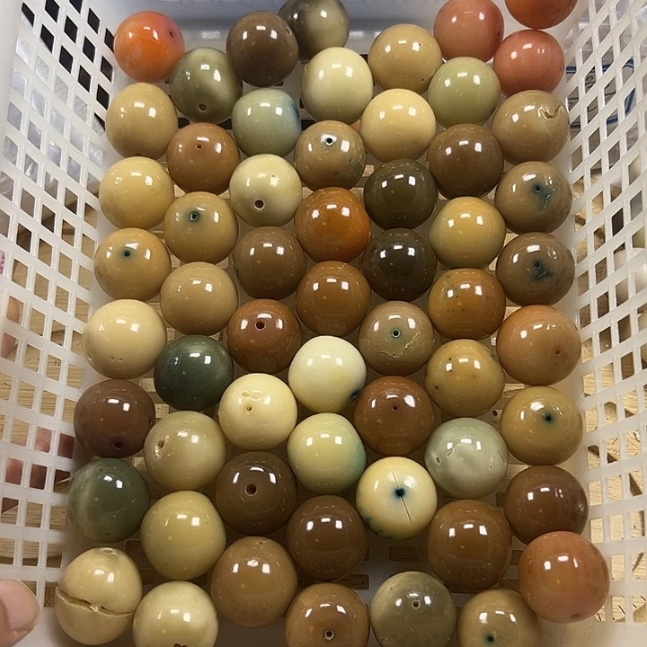 吊坠菩提根/象牙果