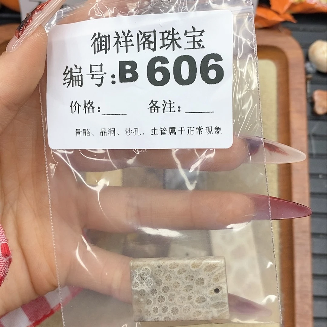 硅化珊瑚（珊瑚玉）颈饰未镶嵌冬*