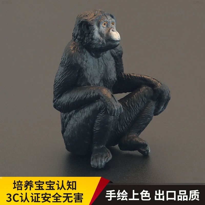 儿童仿真动物玩具动物模型倭黑猩猩侏儒小猴子灵长类认知礼品摆件