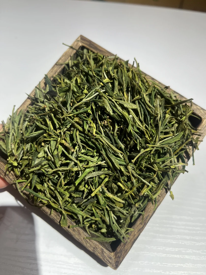 【146】2025年新茶高山野茶