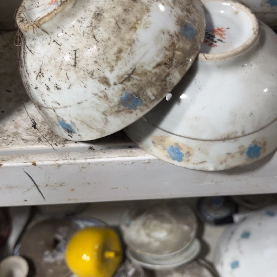 陶瓷其他据哈哈哈哈哈哈哈哈