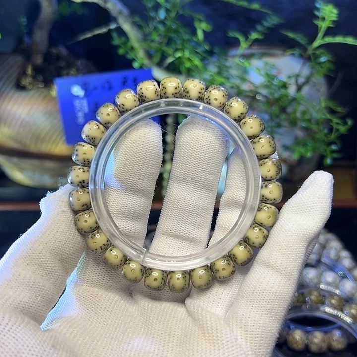 手串星月菩提海南原生态