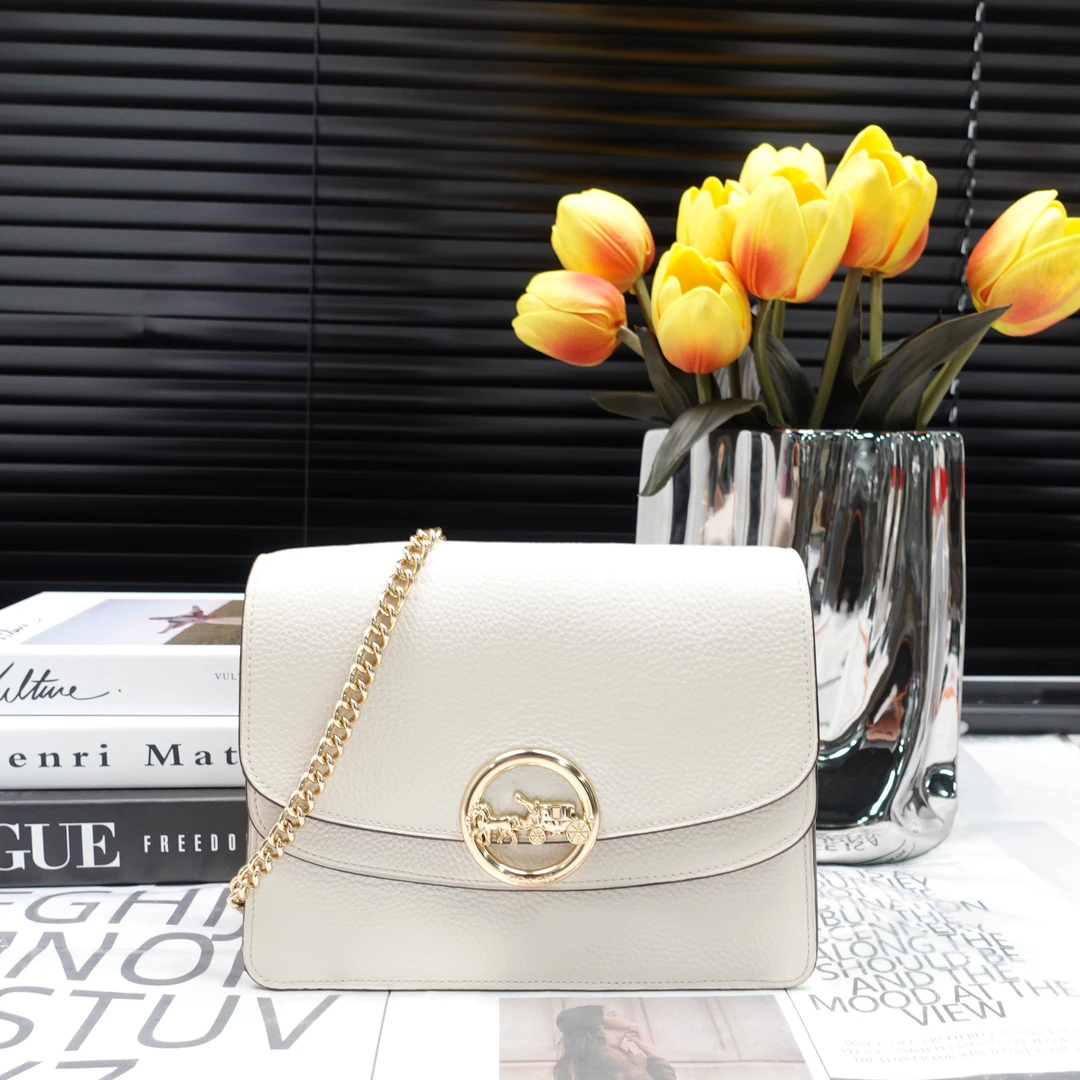 95新 COACH/蔻驰 单肩包/T_ZY0000423381