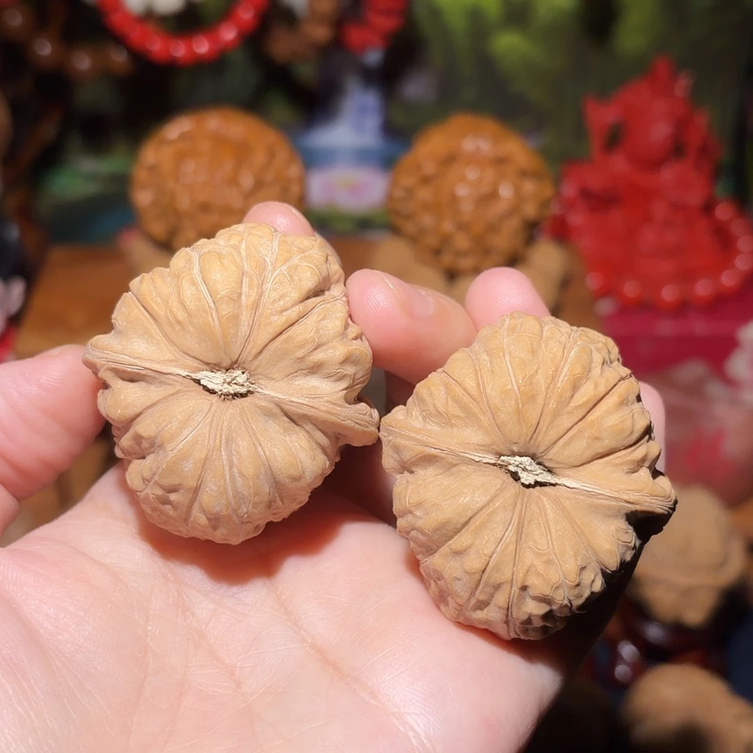 文玩核桃把件41边44肚南瓜墩全品同树果