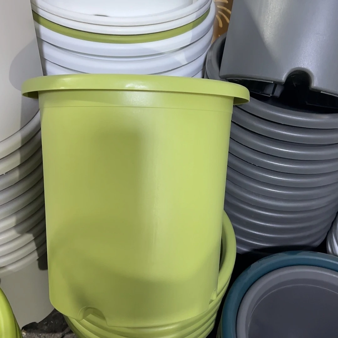 微瑕8号无托5个，果绿