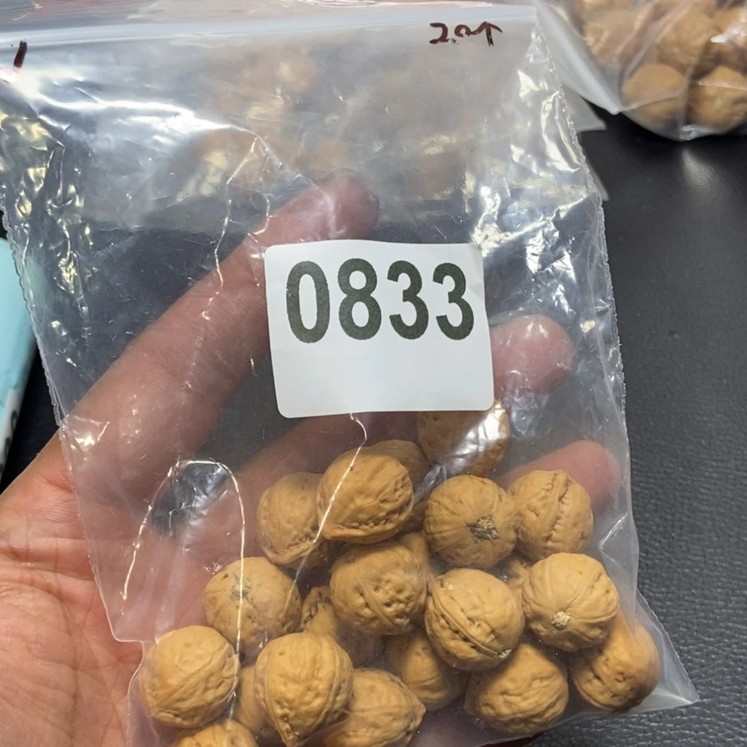 文玩核桃吊坠品**竹秋子