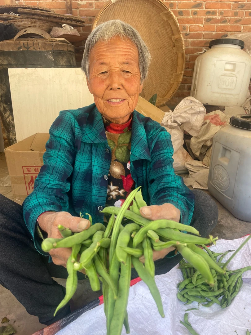 大春家自产豆角（净重5斤）