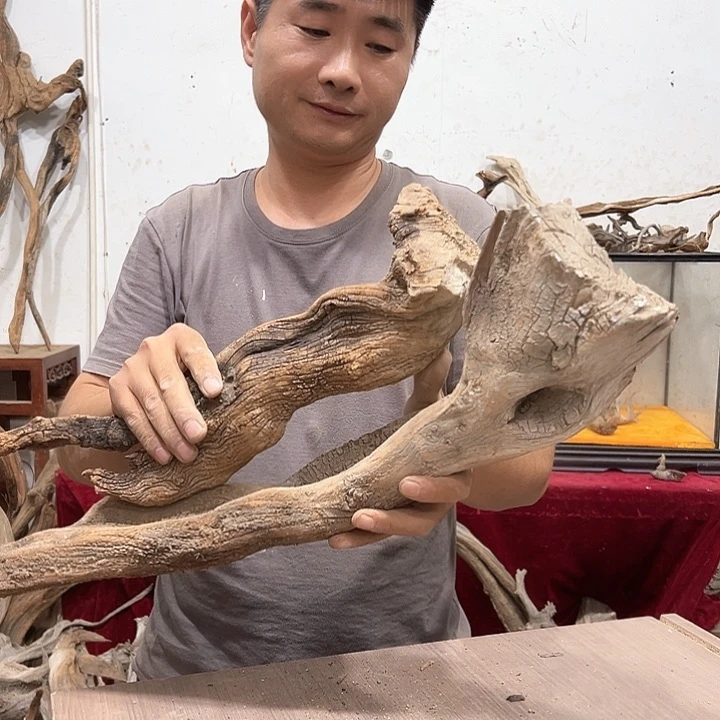 柏木崖***工我们的生活是以自己为