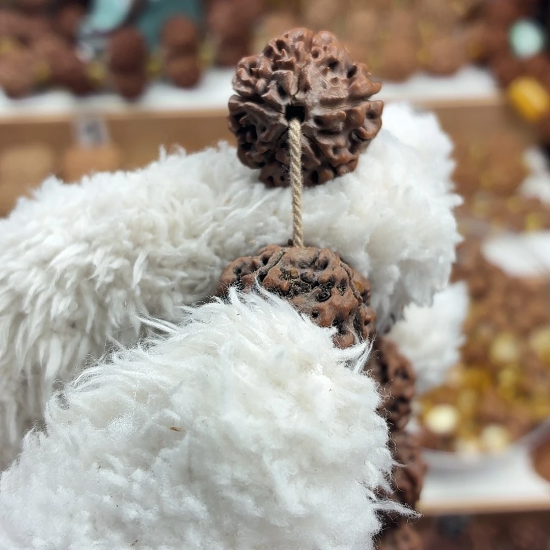 手串金刚菩提精品老梅花蜂窝