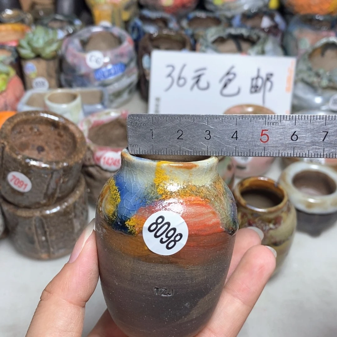 拍5送一个小礼物