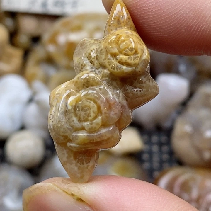 颈饰未镶嵌硅化珊瑚（珊瑚玉）小