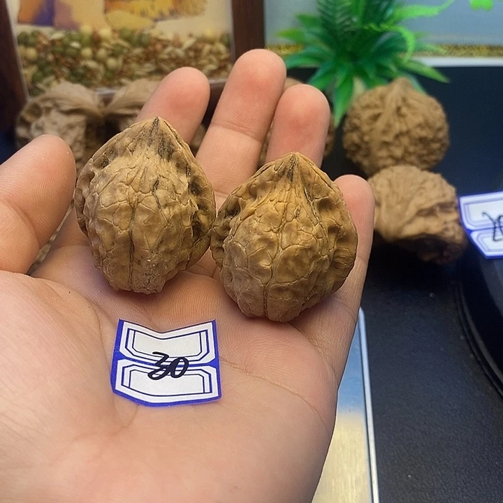 文玩核桃把件33龟甲纹