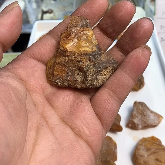 琥珀裸石未镶嵌用****0植物珀