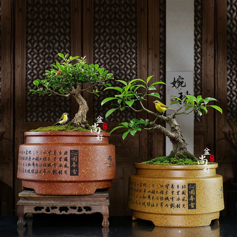宜兴紫砂盆景花盆家用室内桌面圆形多肉盆栽花卉陶瓷盆透水透气