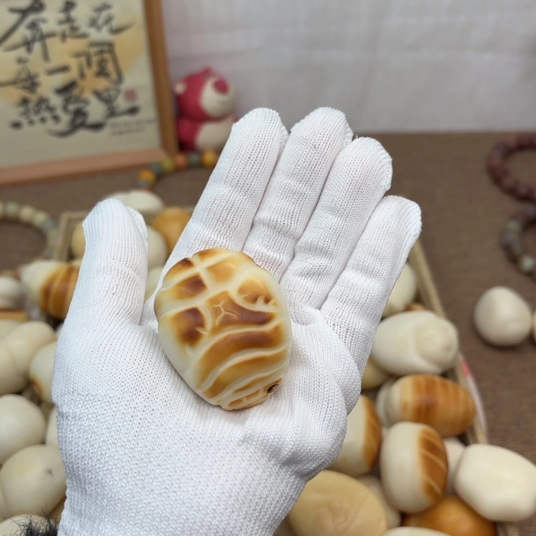 ****～菩提根/象牙果吊坠牙果猪蹄把件882