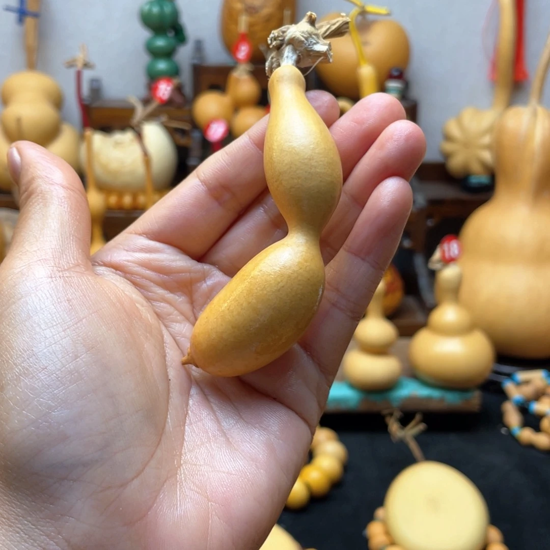 时****下大自然的秘密第十一节的秘密