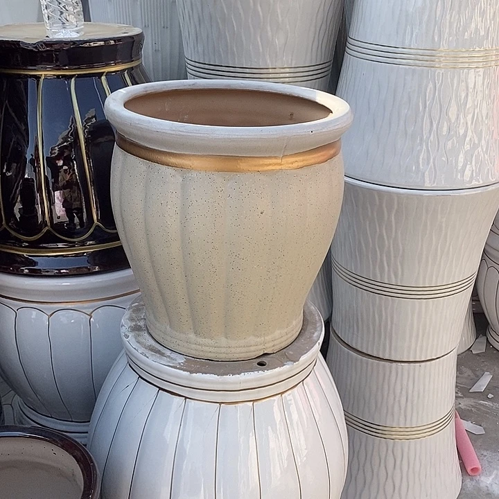 黄南瓜中口31高32福利