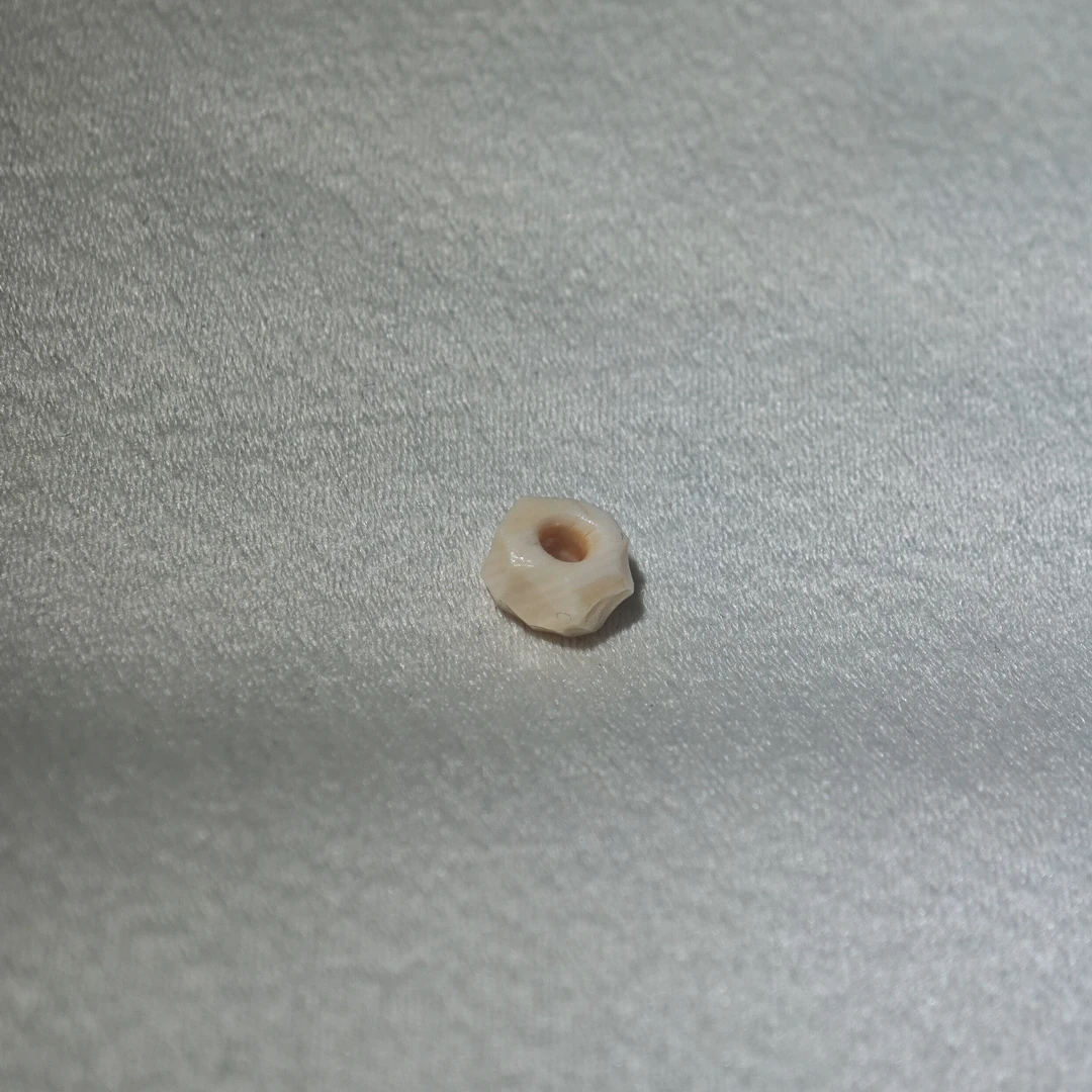 46号猛犸随行侧挂文玩配饰