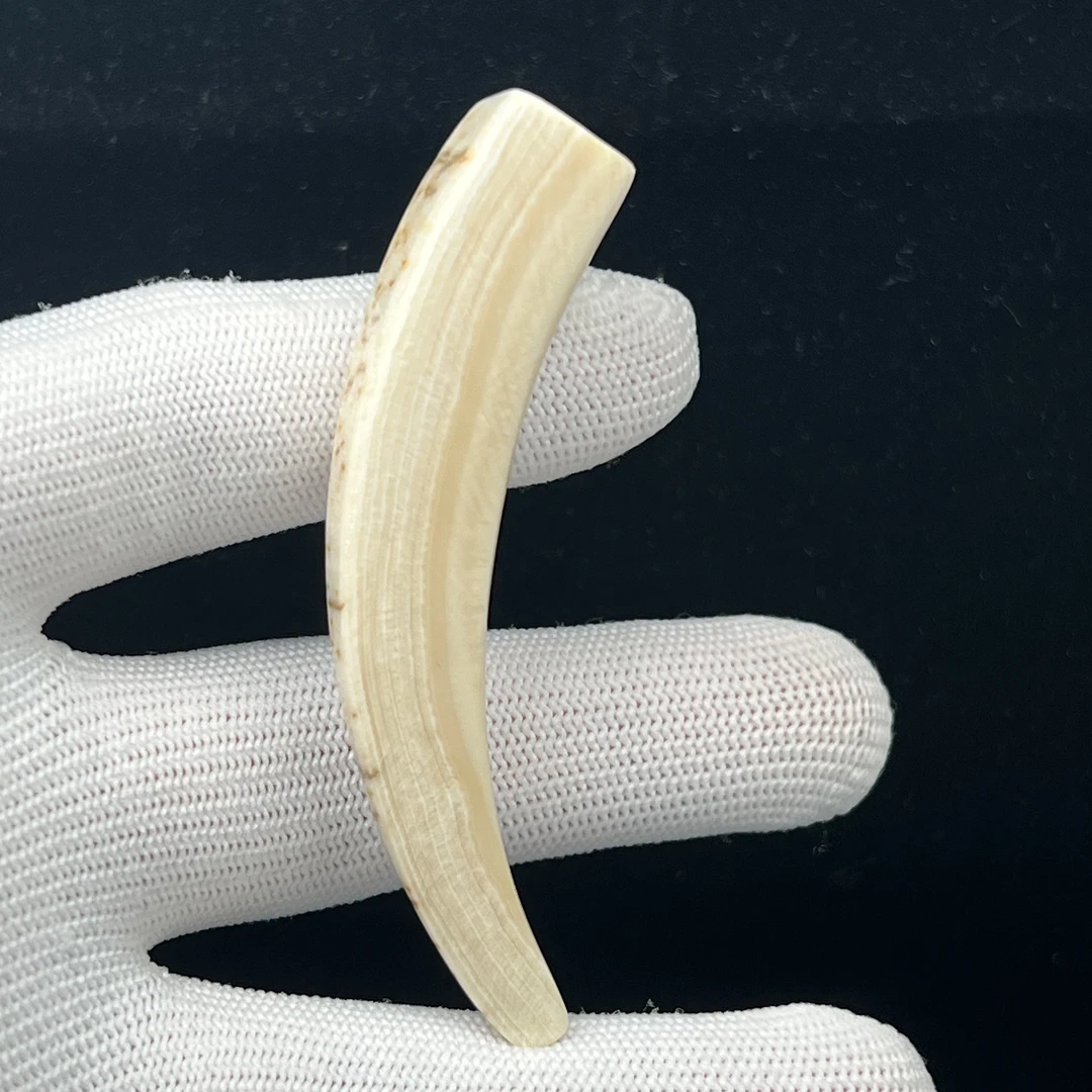 L4543 天然猛犸牙尖74.5 mm一物一图 支持鉴定 假一罚十