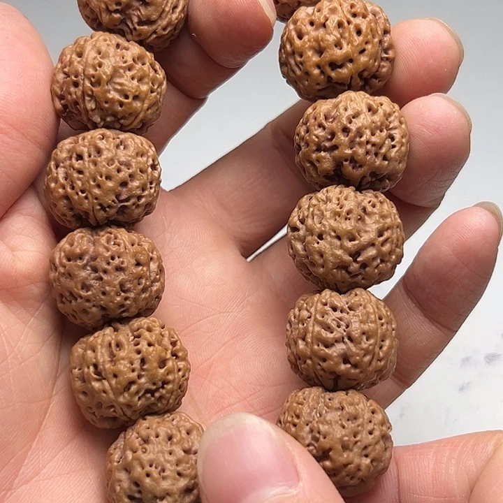 金刚菩提吊坠5瓣22➕飓王