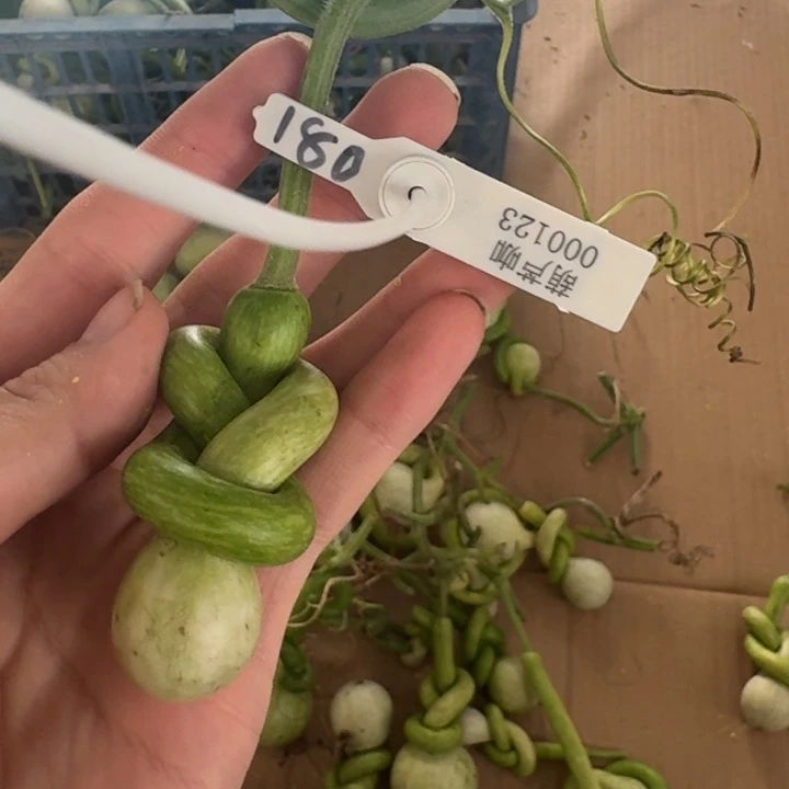 呵***啊哈哈哈哈哈哈哈哈哈哈哈哈