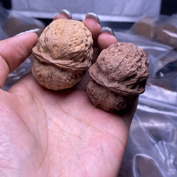 核桃云南野生铁核桃48号43mm
