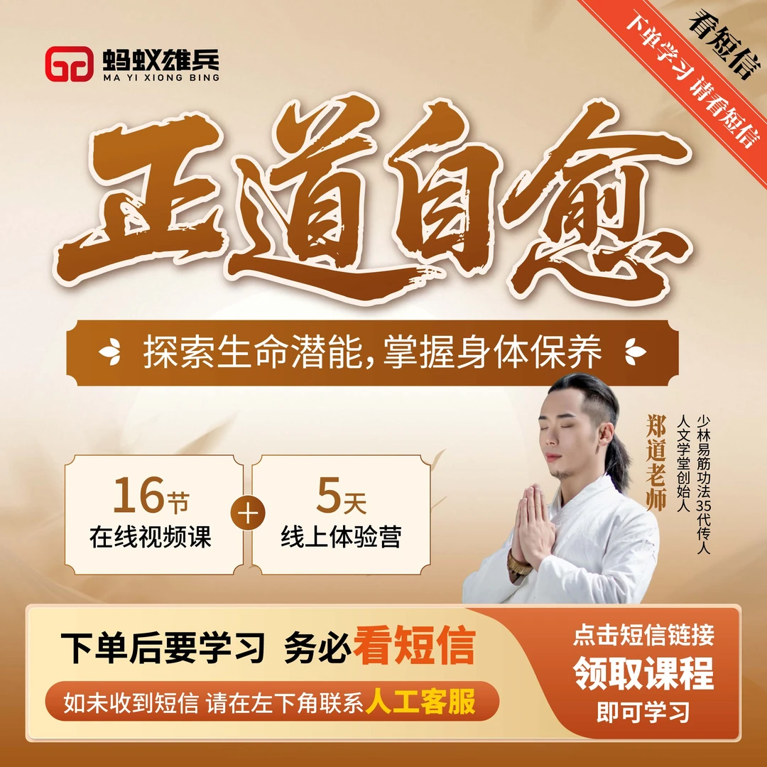 郑道老师 自愈系统16节在线视频课+5天体验营