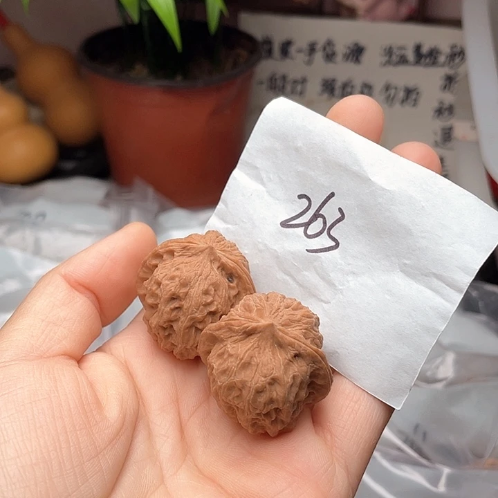 32尺寸变成小众麒麟子