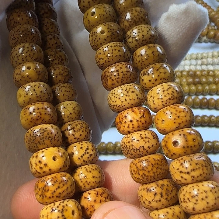 老脱脂星月菩提114
