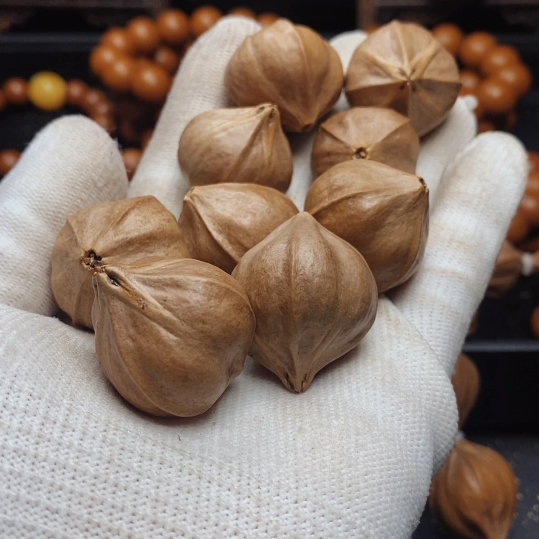 橄榄核手串/手链2.6X2.9尺寸四花铁核