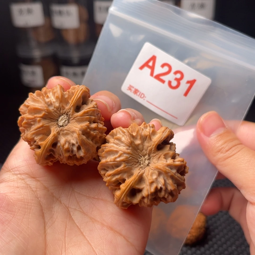 40龙门剑40龙门剑