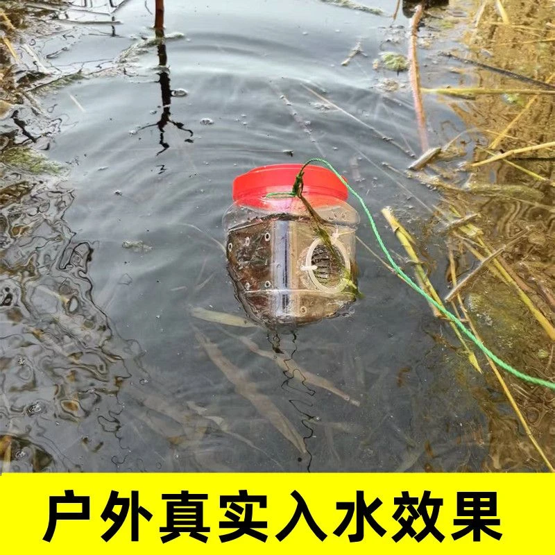 小鱼儿童工具抓鱼神器白条池塘小溪鱼虾虎鱼摔倒须瓶透明活鱼箱
