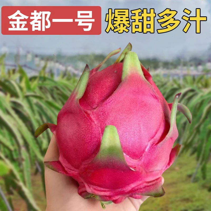5斤蜜宝金都一号红心火龙果新鲜蜜孕妇宝红肉当季水果红龙果大果