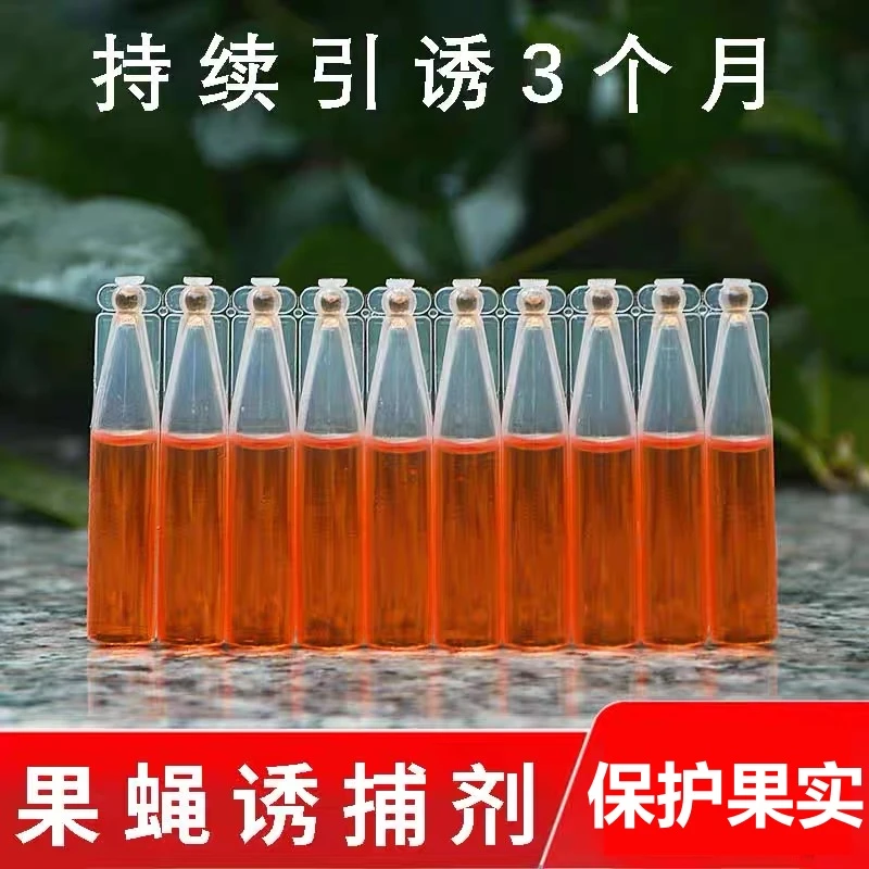 简易果蝇诱捕器盖头果园瓜地桔小实蝇针锋瓜蝇诱引捕捉诱剂果蝇剂