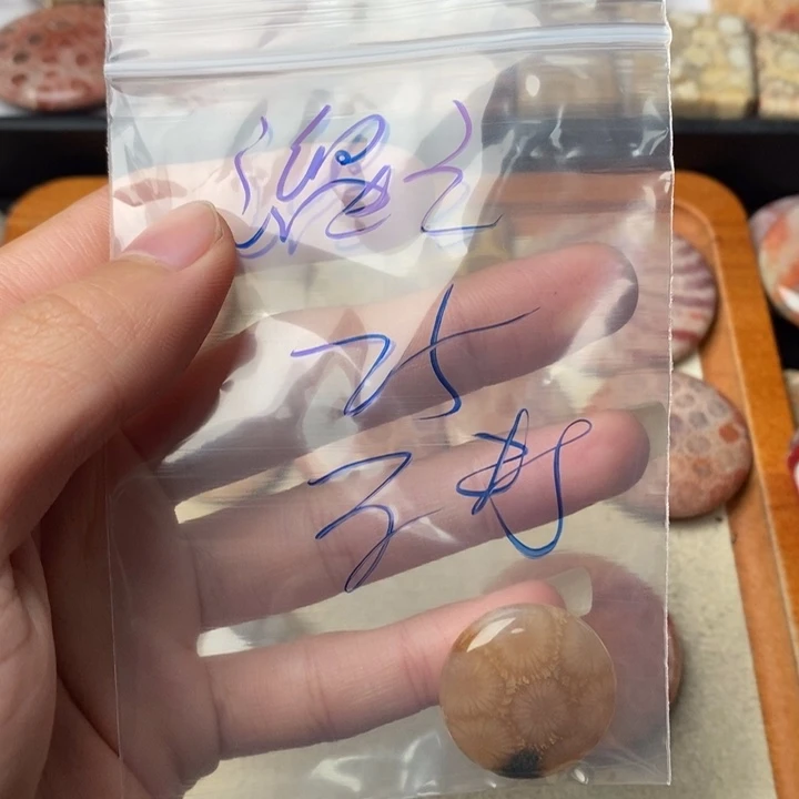 硅化玉颈饰未镶嵌溜**鲫