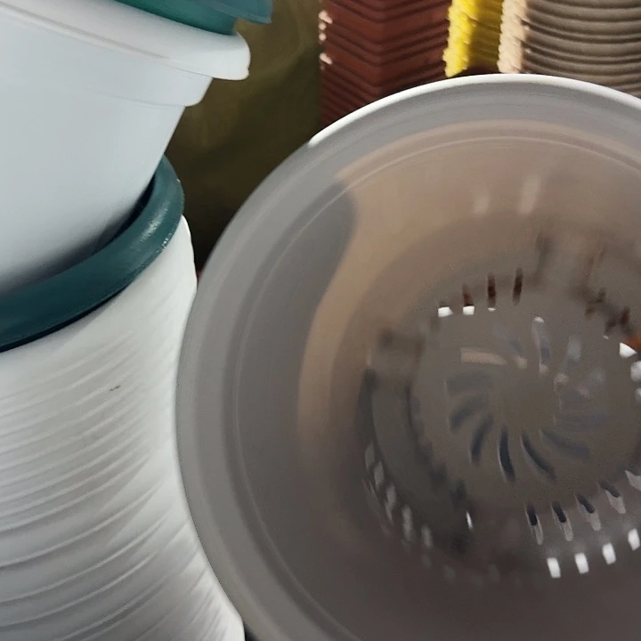 四季6号新灰白无托10个特价