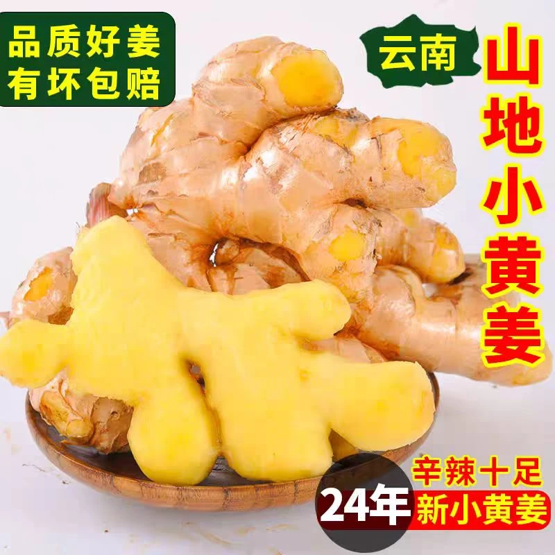 云南小黄姜新鲜现挖香辣十足可作调味食材的生姜