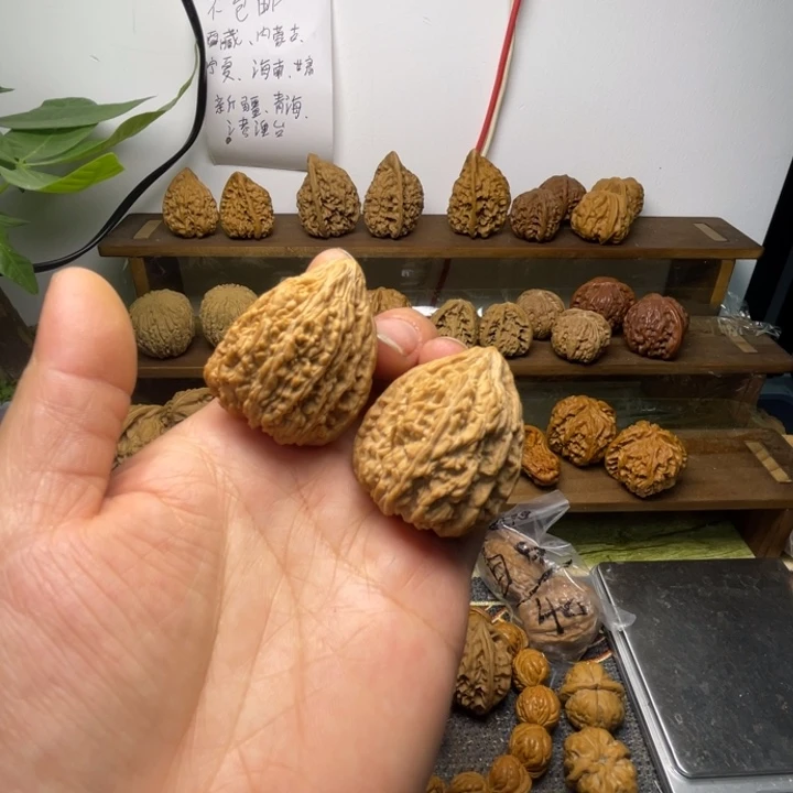 塔尖儿全品34.34.40
