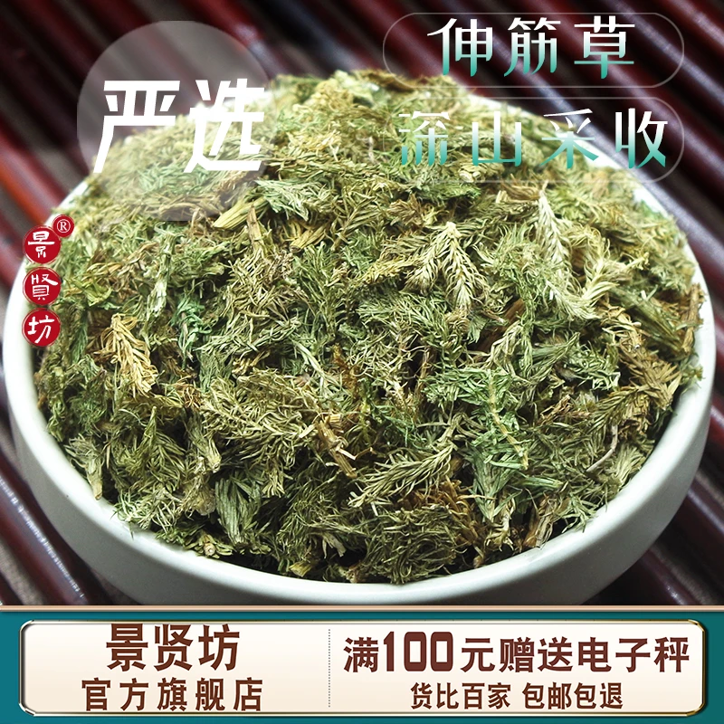 伸筋草中药材舒筋草申筋草生筋草茶非粉野生伸筋草泡脚透骨草正品