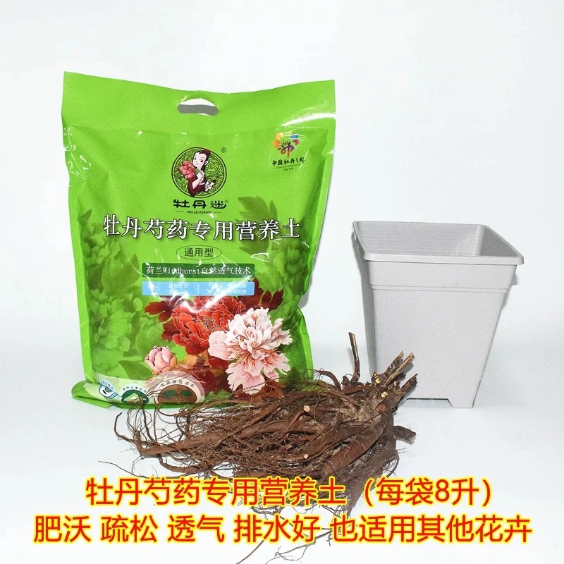 【升级版草炭土】牡丹、芍药、花卉、植物种植草炭土（超透水）