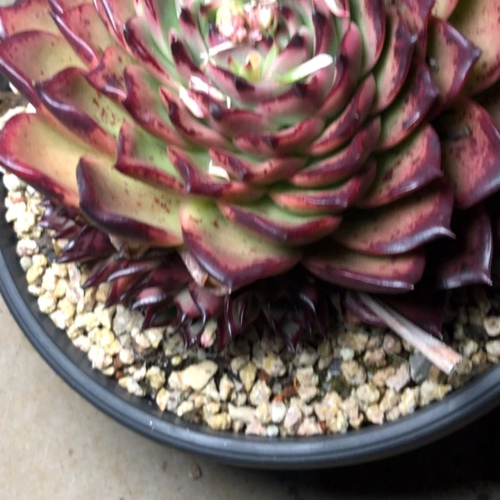 22///////////////////