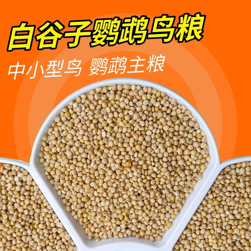 白谷子鸟食鸟粮/玉鸟金青麻料灰燕文鸟饲料专用粮食