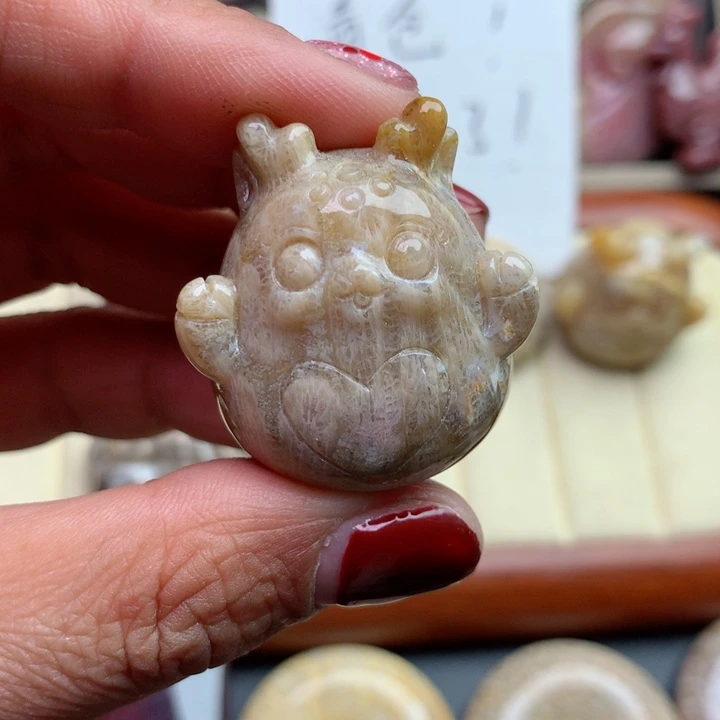 硅化珊瑚（珊瑚玉）颈饰未镶嵌